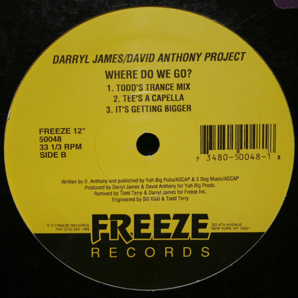 Darryl James & David Anthony Featuring Fay Victor : Where Do We Go? (12")