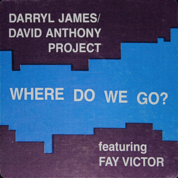 Darryl James & David Anthony Featuring Fay Victor : Where Do We Go? (12")