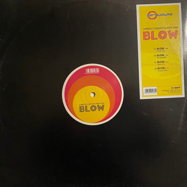 Gabriele D'Andrea & A.N.D.Y. Funk : Blow (12")