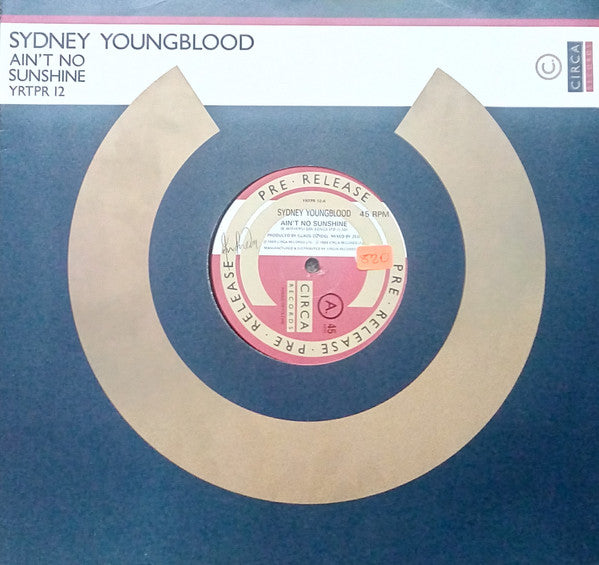 Sydney Youngblood : Ain't No Sunshine (12", Promo)