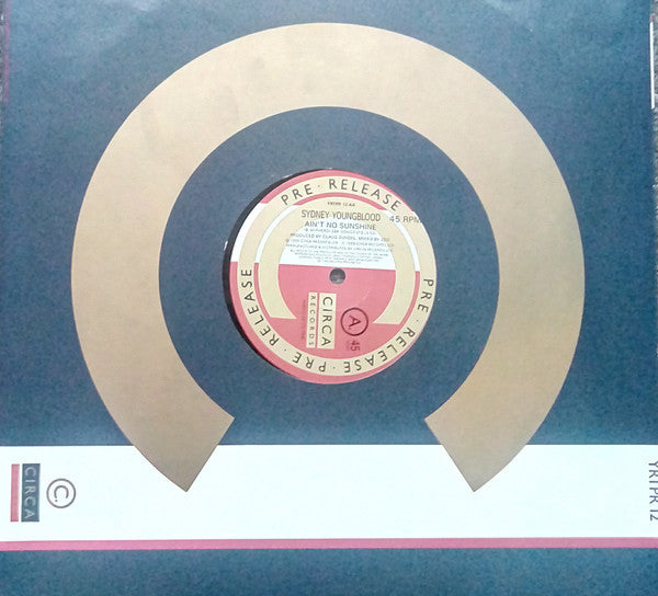 Sydney Youngblood : Ain't No Sunshine (12", Promo)
