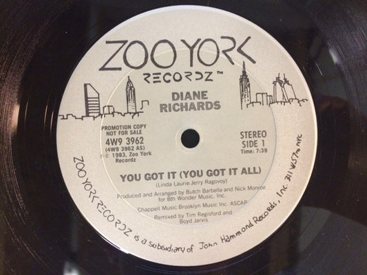Diane Richards : You Got It (You Got It All) (12", Promo)