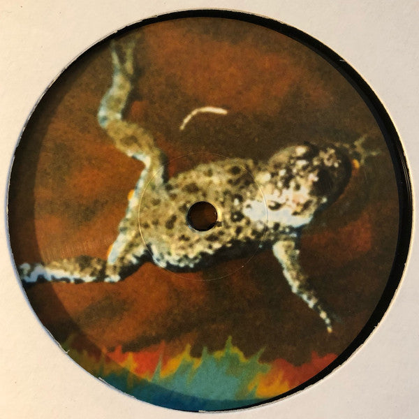 Leandro Tourinho, Gregorio Vandemandier, Zdon : CHIC001 (12")