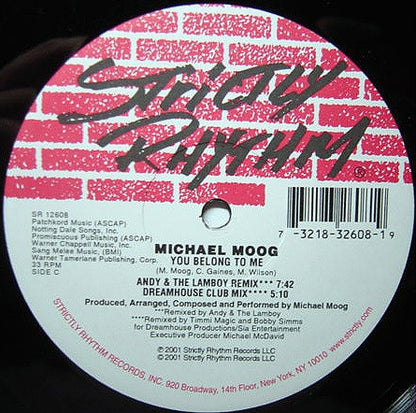 Michael Moog : You Belong To Me (2x12")