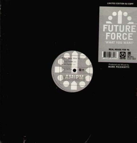 Future Force : What You Want (2x12", Ltd, Promo)