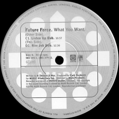 Future Force : What You Want (2x12", Ltd, Promo)
