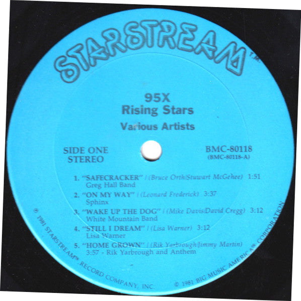 Various Artists* : Rising Stars Best Of 95X (LP)