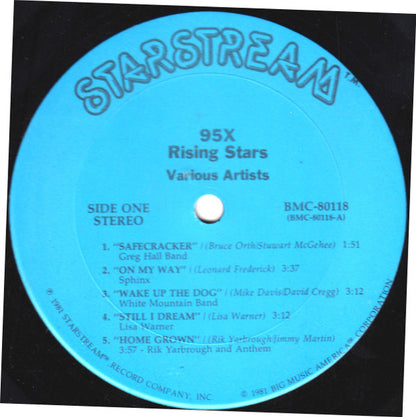 Various Artists* : Rising Stars Best Of 95X (LP)