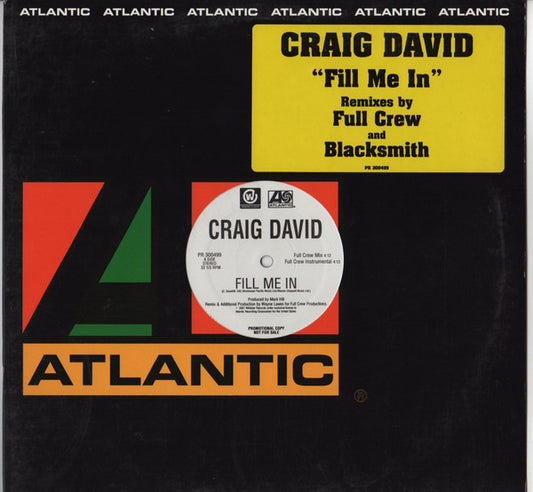 Craig David : Fill Me In (12", Promo)