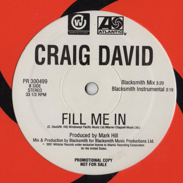 Craig David : Fill Me In (12", Promo)