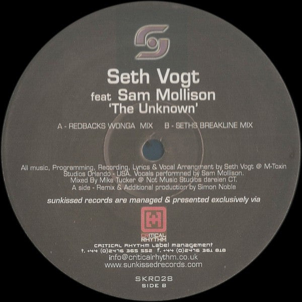 Seth Vogt feat Sam Mollison : The Unknown (12")