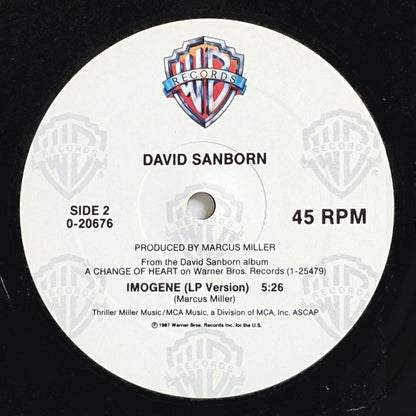 David Sanborn : Chicago Song (12", Maxi)