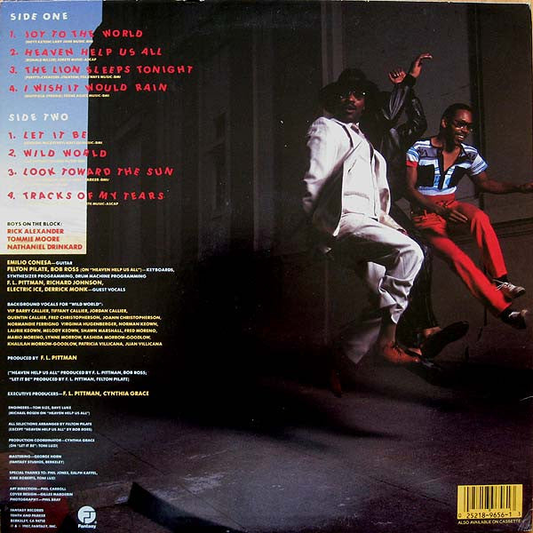 Boys On The Block : Blockbusters (LP, Album)