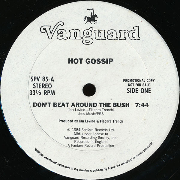 Hot Gossip : Don't Beat Around The Bush (12", Promo)