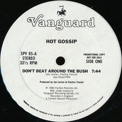 Hot Gossip : Don't Beat Around The Bush (12", Promo)