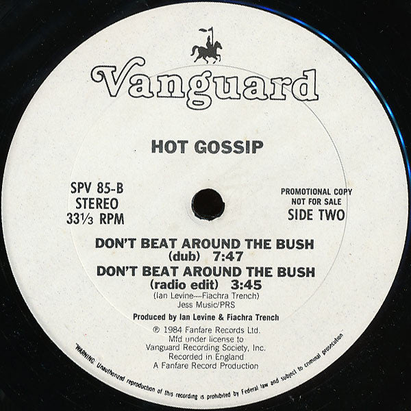 Hot Gossip : Don't Beat Around The Bush (12", Promo)