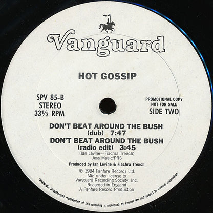 Hot Gossip : Don't Beat Around The Bush (12", Promo)