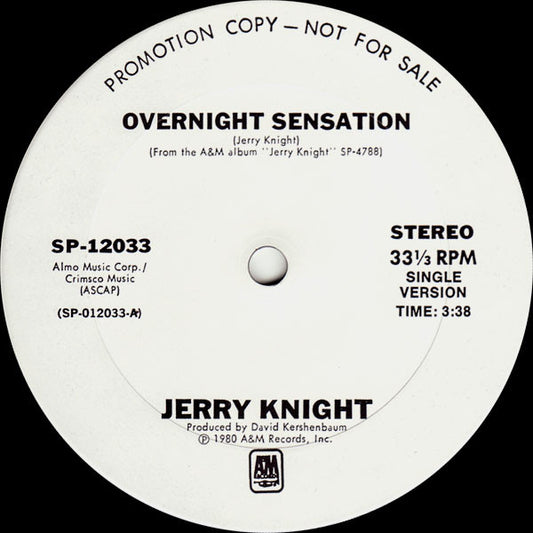 Jerry Knight : Overnight Sensation (12", Promo)