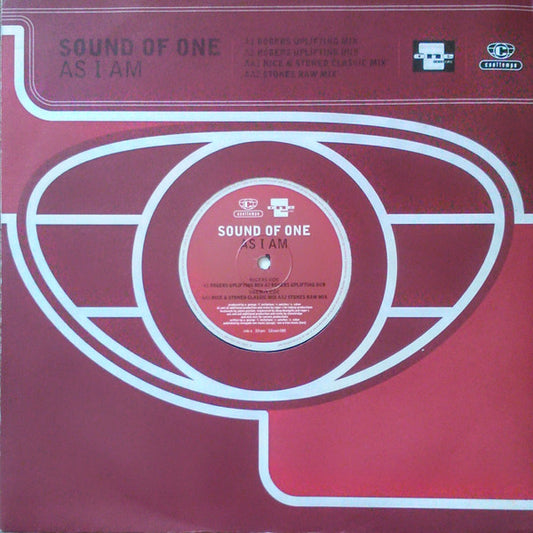 Sound Of One : As I Am (12", Single)