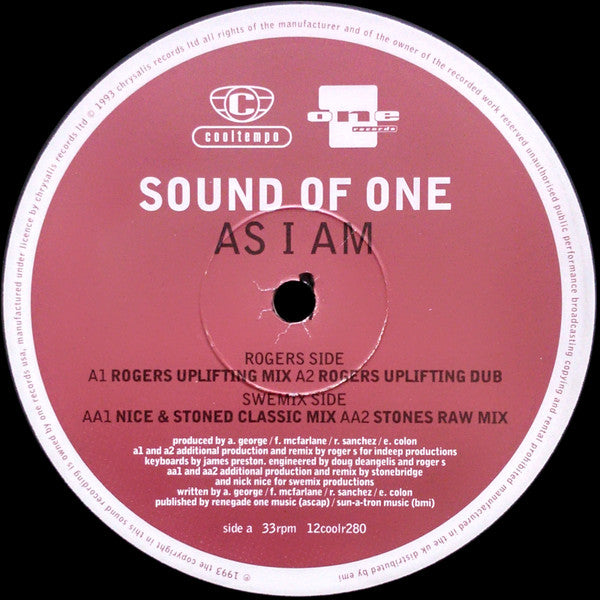 Sound Of One : As I Am (12", Single)