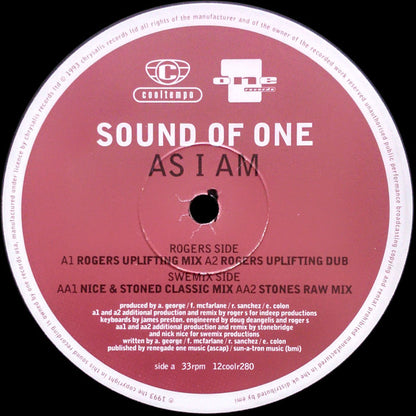 Sound Of One : As I Am (12", Single)