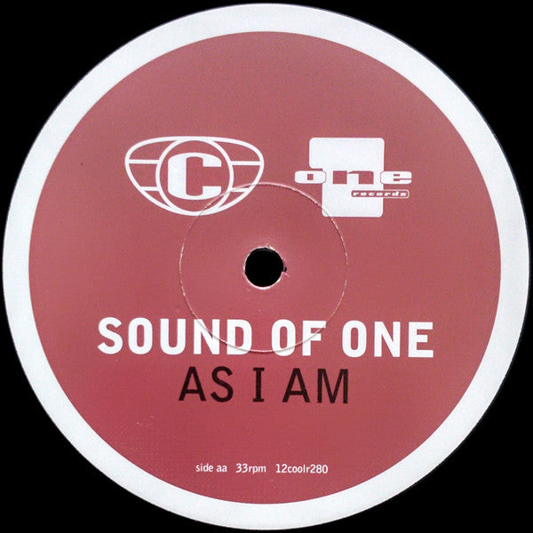 Sound Of One : As I Am (12", Single)