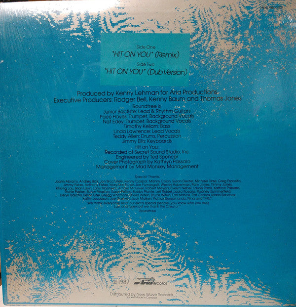 Roundtree : Hit On You (Remix) (12", Pic)