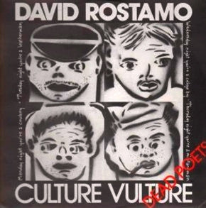 David Rostamo : Culture Vulture (12", Maxi)