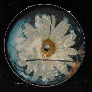 Daisy Glow : Right On! (12")