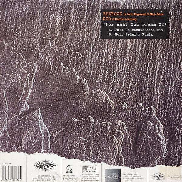 Bedrock Featuring KYO : For What You Dream Of (12")