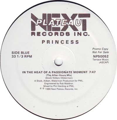 Princess : In The Heat Of A Passionate Moment (12", Promo)