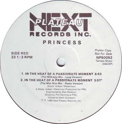 Princess : In The Heat Of A Passionate Moment (12", Promo)