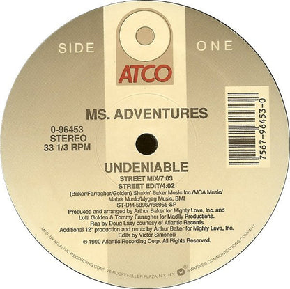 Ms. Adventures : Undeniable (12", Single)