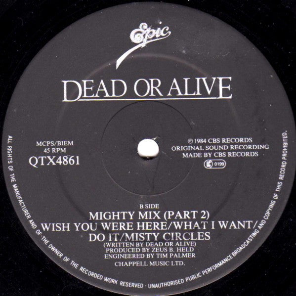 Dead Or Alive : You Spin Me Round (Like A Record) (Performance Mix) (12", Single)