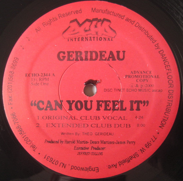 Gerideau : Can You Feel It (12", Promo)