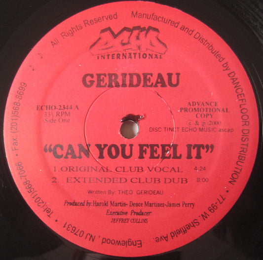 Gerideau : Can You Feel It (12", Promo)