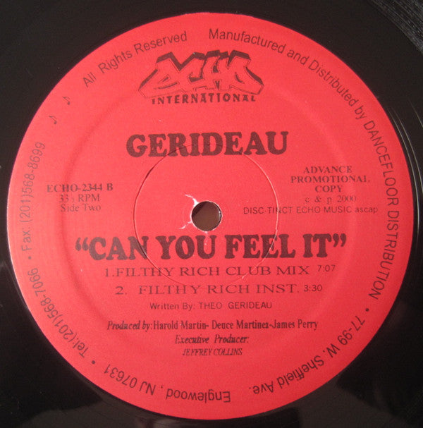 Gerideau : Can You Feel It (12", Promo)