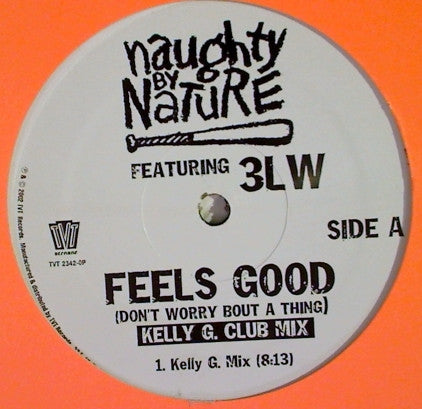 Naughty By Nature : Feels Good (Don't Worry Bout A Thing) (12", Single)