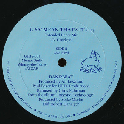 Danz/Beat : Ya' Mean That's It (12")