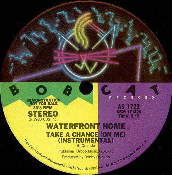 Waterfront Home : Take A Chance (On Me) (12", Promo)