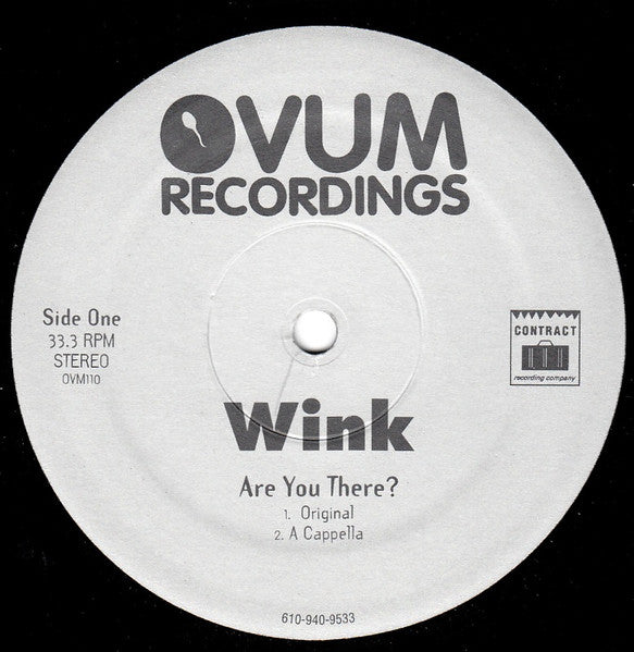Josh Wink : Are You There ? (12")