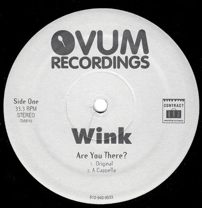 Josh Wink : Are You There ? (12")