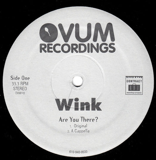 Josh Wink : Are You There ? (12")