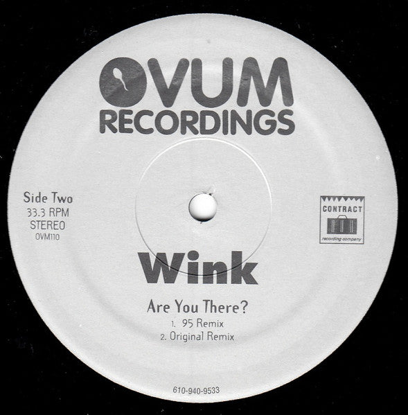Josh Wink : Are You There ? (12")