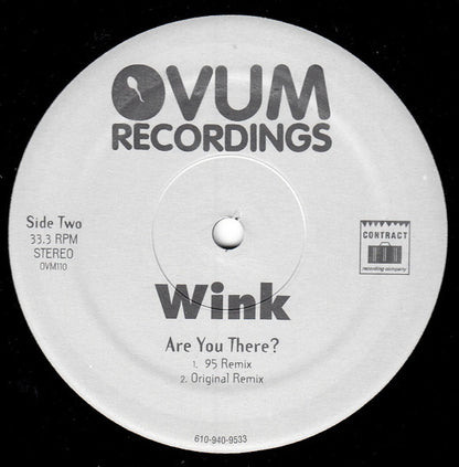Josh Wink : Are You There ? (12")