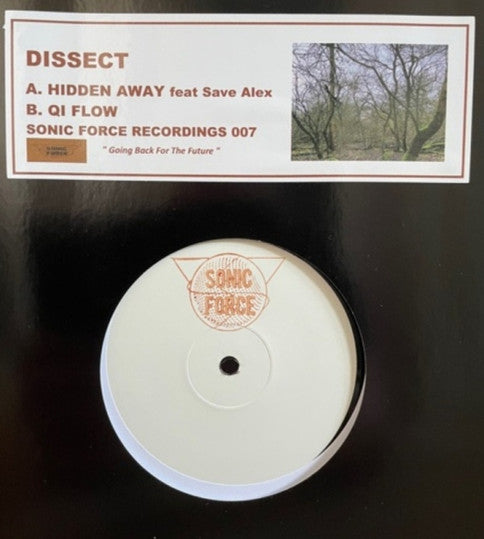 Dissect (2) : Hidden Away / Qi Flow (12")