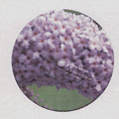 Various : The 2nd City EP (12")