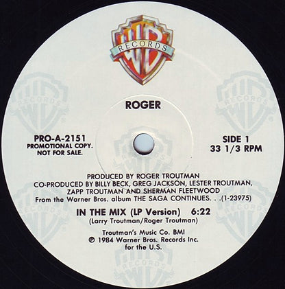Roger* : In The Mix (12", Promo)