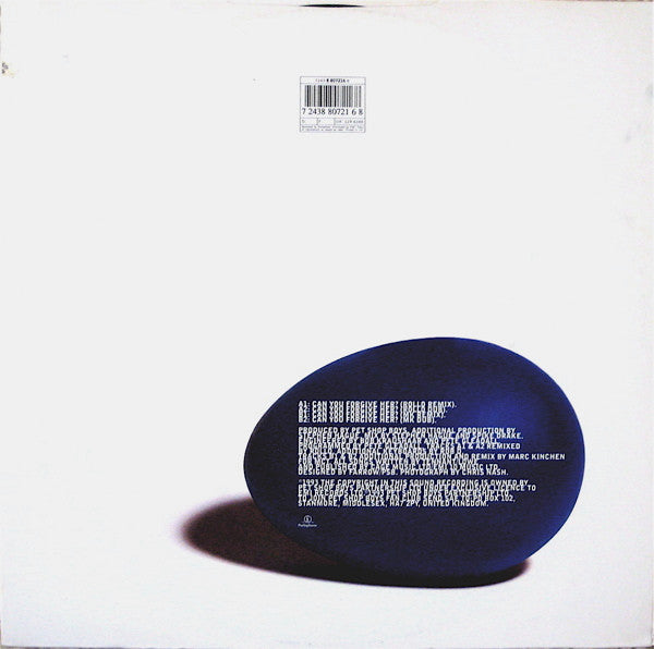 Pet Shop Boys : Can You Forgive Her? Remixes. (12", Single)