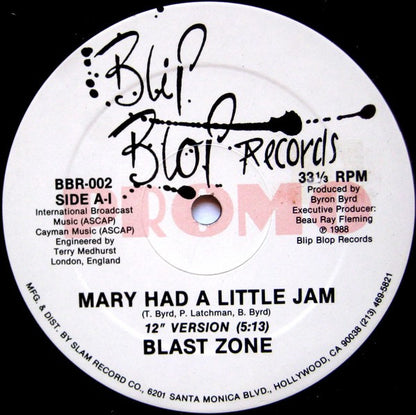 Blast Zone : Mary Had A Little Jam (12", Promo)